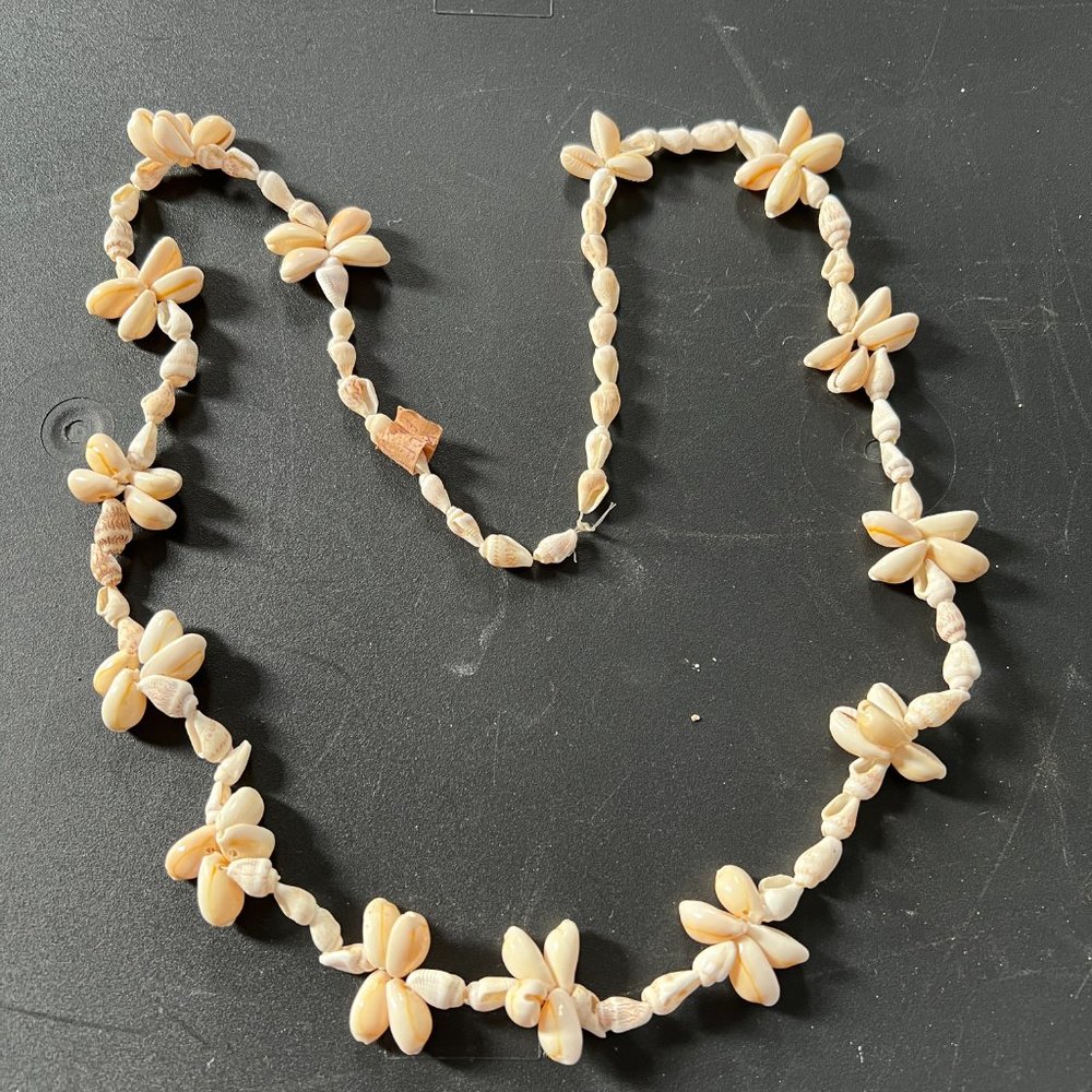 Unique Handmade Seashell Necklace